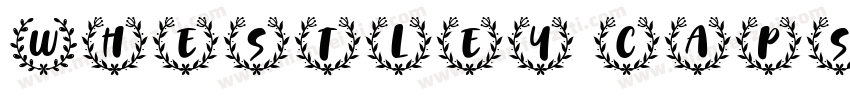 Whestley caps Regula字体转换